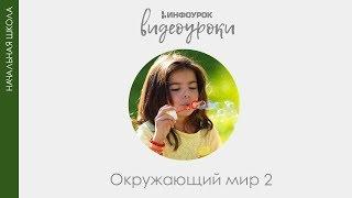 Природа и рукотворный мир | Окружающий мир 2 класс #6 | Инфоурок