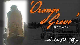 Short: ‘ORANGE GROVE', Woy Woy: The hunt for old bottles in the water