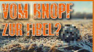 vom KNOPF zur FIBEL? #sondeln #metaldetecting #lechsonde