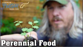 8 Perennial Foods You Must Have