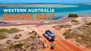 AUSTRALIA'S BEST NATURE!? Road trip SHARK BAY, MONKEY MIA & Francois Peron