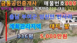 989 조용한 시골 마을 도로에 대지와 밭 부여땅 부여부동산