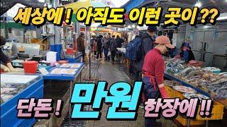 삼척 번개 어시장 충격 역대급 가격! 어떡해 이게 가능? 단돈 만원 한장 꽃게가 한가득! 진짜 미쳤다!korean fish market channel