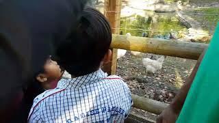 Maryon Wilson Animal Park Charlton part4