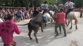 MONTPEZAT ABRIVADO BANDIDO + 20 TAUREAUX 02/06/24