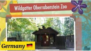 Wildgatter Oberrabenstein Zoo in Chemnitz | Josephine Alde