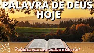 Palavra de Deus para mim hoje | Essa atitude trará o reconhecimento de Deus para você (Mt 12,46-50)