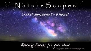  NIGHT TIME CRICKETS - 8 Hours of Relaxing Cricket Sounds to help you Study & Sleep