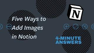 5 Ways to Add IMAGES in Notion | Notion Tutorial