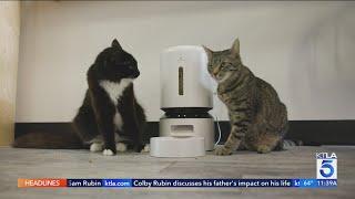 High-Tech Cat Accessories Make Pet Care Easier