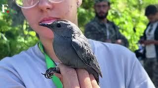 Cuba: Biologists Unravel Mysteries of Bird Migration | Subscribe to Firstpost