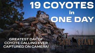 19 Coyotes In ONE DAY - Best Day Of Calling Coyotes EVER Caught On Camera! The Last Stand S7:E10