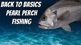 PEARL PERCH BASICS - Chasing deep water Pearlies.