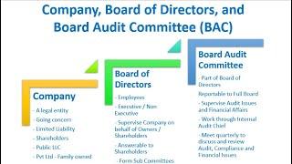 Company Board of Directors and Board Audit Committee BAC | What they are?