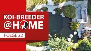 Koi-Breeder@home: Hansruedi