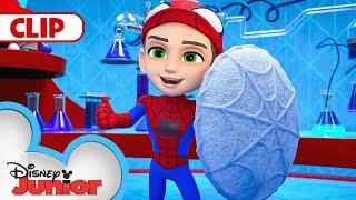 Spin Saves the Day | Marvel's Spidey and his Amazing Friends | @disneyjunior