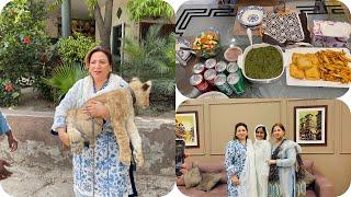 Visited a beautiful family in Lahore || Fan family || Farm house  dehkey @PulwashaCooksofficial