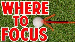 Where Should Your Eyes Focus In The Golf Swing?