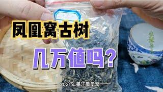 The ancient tree Pu'er tea in Phoenix Nest started at 10,000 yuan? Then buy tea to buy a name, or...