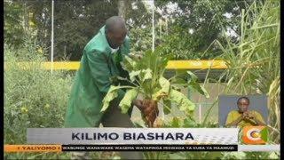 SMART FARM | Sugar Beet Farming