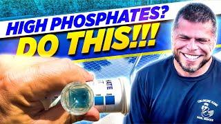 STOP Pool Algae Forever! Why Testing Fill Water for Phosphates Is a MUST| Chlorine king Pool Service