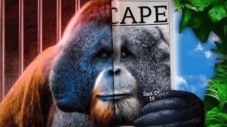 The Ape That Couldn’t Be Contained