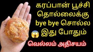 கரப்பான் பூச்சி தொல்லைக்கு bye bye சொல்ல இது போதும்/cockroach kill tips/trick@keerthisaratips5728