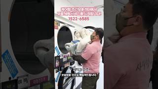 케어링 무료세탁서비스 시작  #케어링 #방문요양 #노인주간보호센터