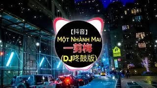 【抖音】Một Nhành Mai Remix 一剪梅 (DJ咚鼓版) || Bài Hát Đang Gây Bão Trên Tiktok Trung Quốc || Douyin