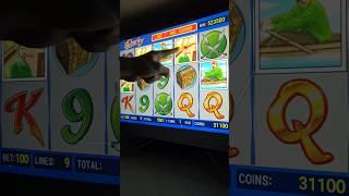 Минус 200.000 - дало ПЕРВЫЙ бонус ... | Игровые автоматы в онлайн казино