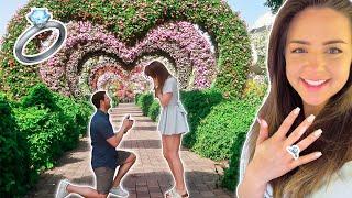 The Most Beautiful Proposal !