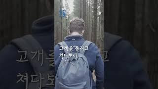 저편 언덕｜류시화｜좋은글｜좋은시｜ 시낭송