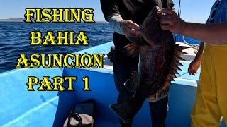 Fishing Baja Mexico Part 1 (Bahia Asuncion)