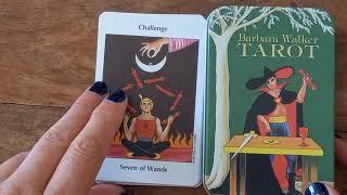 Barbara Walker Tarot flip through of cards only