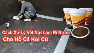 Cách Xử Lý Vết Nứt Làm Rỉ Nước Hồ Cá Koi | Cách Chống Thấm Hiệu Quả Cho Hồ Koi Cũ #hocakoi #hokoi