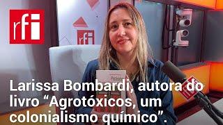 "O Brasil não é celeiro nem de si mesmo", diz Larissa Bombardi, autora de livro sobre agrotóxicos