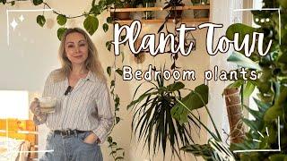 Plant Tour - bedroom plants