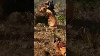 Far Cry Primal: Another Cave Bear vs Sabertooth #shorts