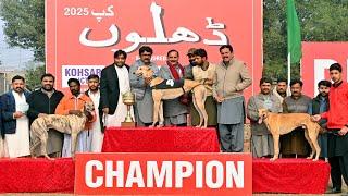 Prize Distribution Ceremony || Greyhound Race | DHILLON'S CUP 2025 || SP Studio 216 #dog #greyhound