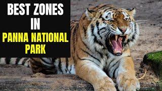 Best Zones for Tiger Sighting in Panna National Park | Jungle Safari in Panna Tiger Reserve 4K