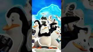 Tiktok Badan Intelijen Bokep Dunia // Meme Para Pinguin