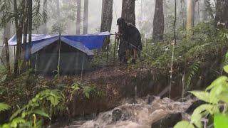 Long Heavy Rainstorm‼️Camping in Long Heavy Rain Around the River‼️