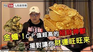 金蟾！CP值超高的招財神獸｜擺對讓你財運旺旺來