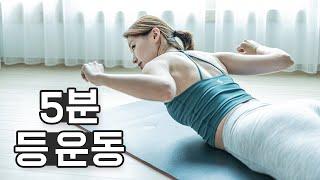 매끈한 등 라인 만드는 5분 운동 - 짧지만 굵은 최고의 동작들! (Back workout)