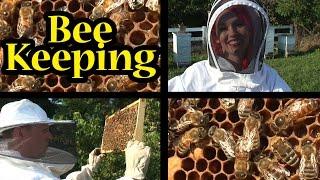 Bee Keeping Basics PT 1: Anatomy of a Beehive ~ TTTV