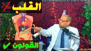 مهم جدا لازم تفرق أعراض القلب وأعراض القولون {خد بالك}(٢٦) دكتور جودة محمد عواد