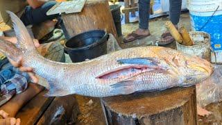 Amazing Delicious Salmon Lakka Fish Cutting Skills In Bangladesh Fish Market By Expert Fish Cutter