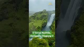 Go'zal Nashida oxirigacha tinglang.#nashidalar #shorts