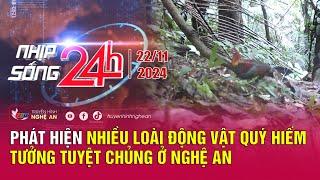 Bản tin Nhịp sống 24h - 22/11: Phát hiện nhiều loài động vật quý hiếm tưởng tuyệt chủng ở Nghệ An