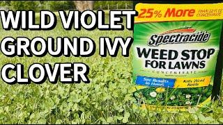 Spectracide Weed Stop for Lawns - Weed Killer Ground Ivy, Wild Violet, Clover